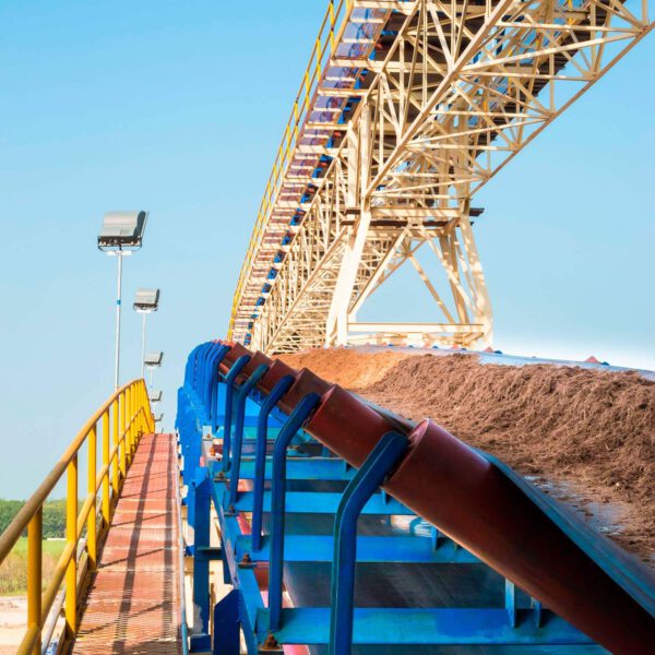 Bagasse handling with conveyor.